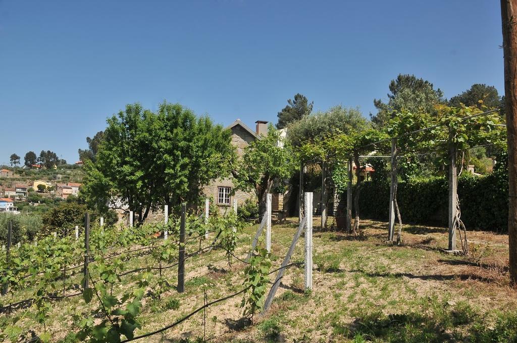 Quinta Do Vale Sanguinho Villa Seia Exteriör bild